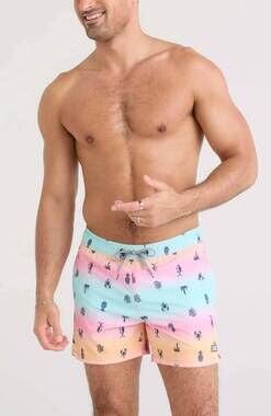 NEW SAXX oh buoy 2n1 volley swim trunks in summer ombre